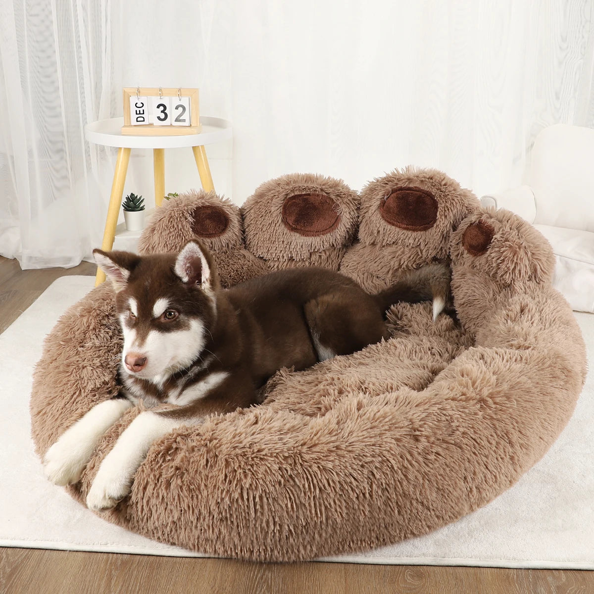 The Paw Nook
